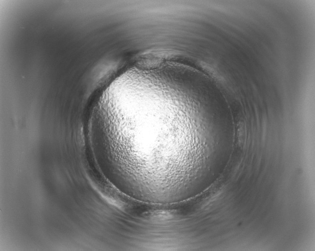 X0000066530254200603201407