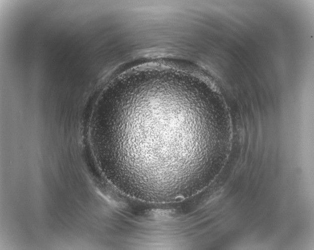 X0000066530255200603201407
