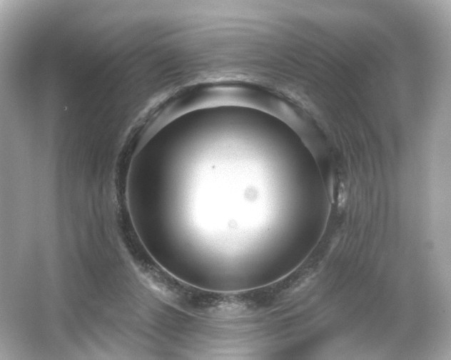X0000066530256200603201407