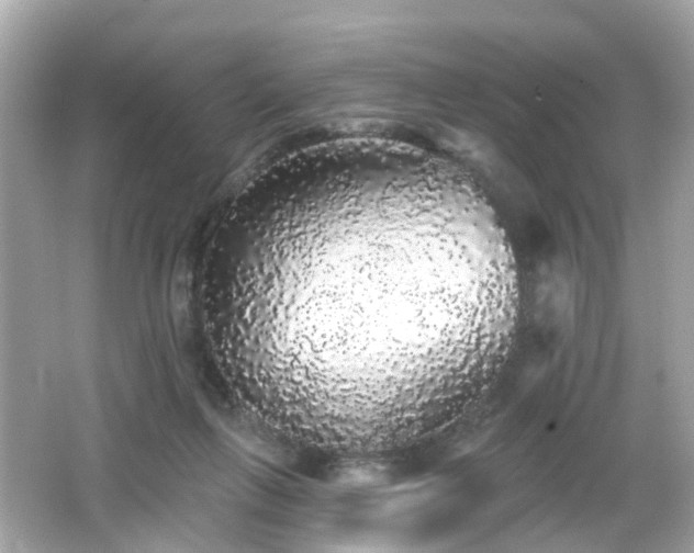 X0000066530263200603201407