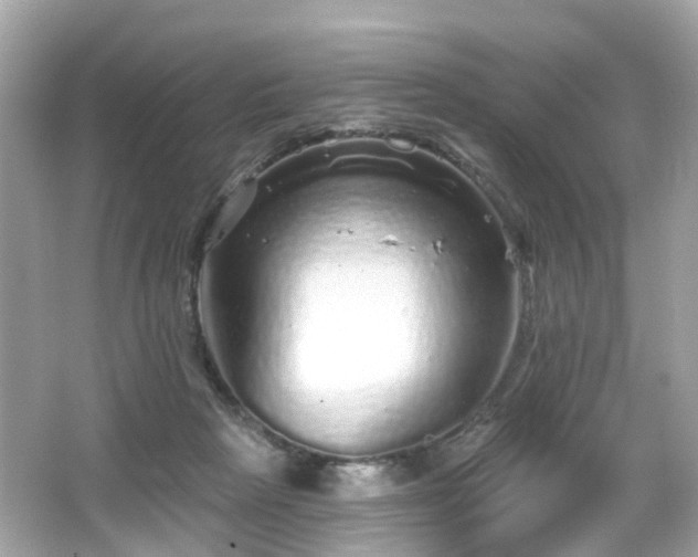 X0000066530265200603201407
