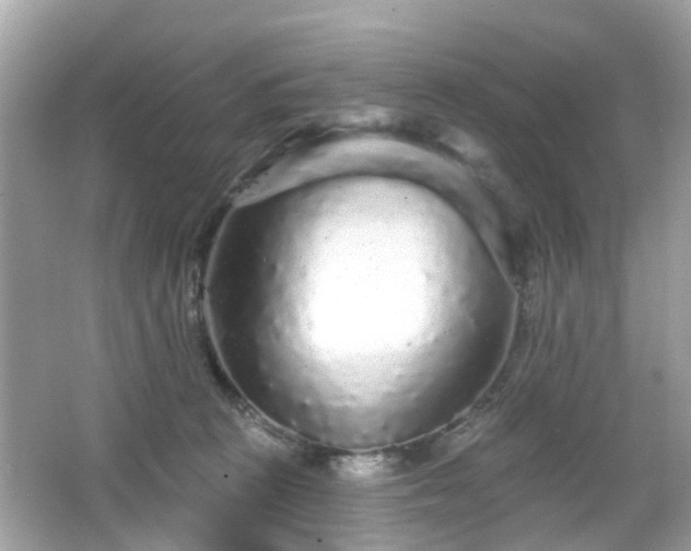X0000066530273200603201407