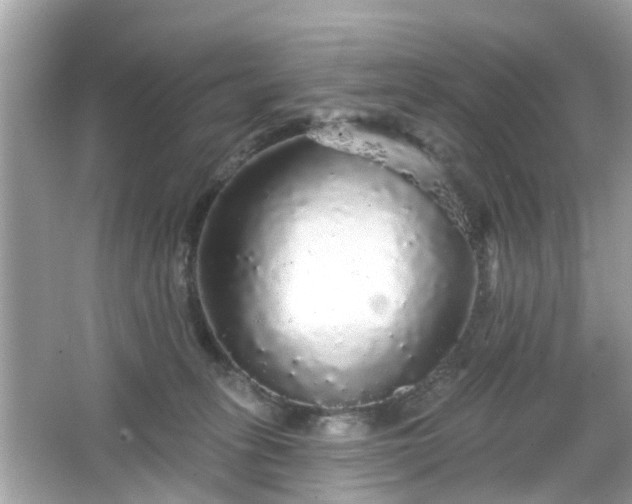 X0000066530275200603201407