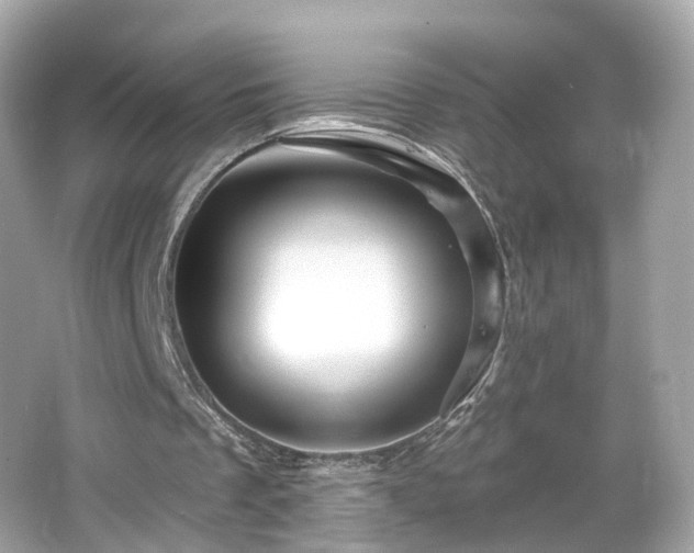 X0000066530289200603201407