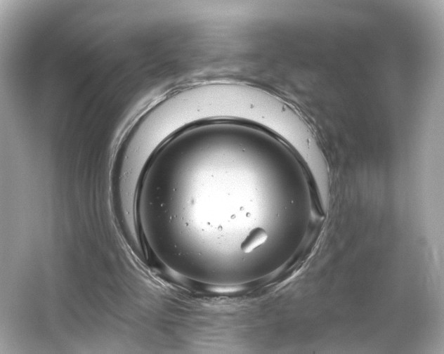 X0000066530293200603201407