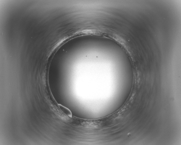 X0000066530297200603201407
