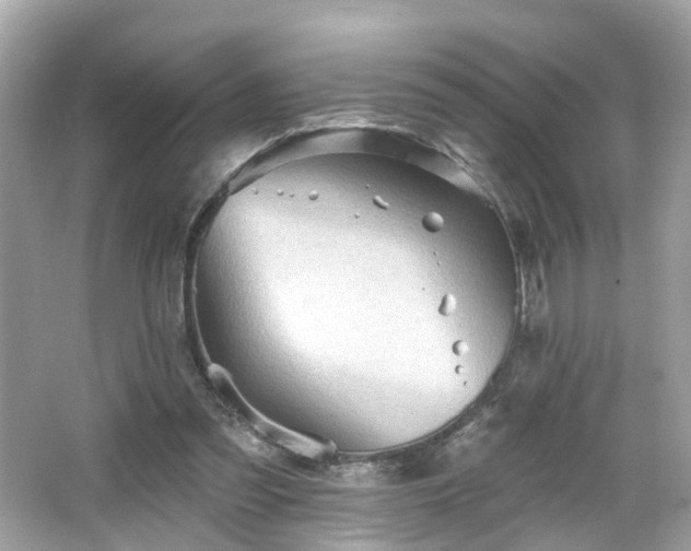 X0000066530301200603201407