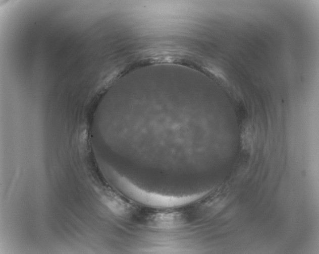 X0000066530314200603201406