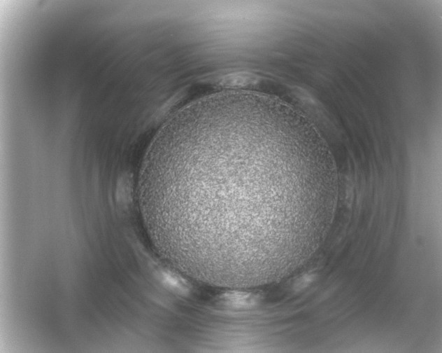 X0000066530326200603201406
