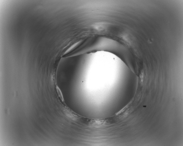 X0000066530329200603201406