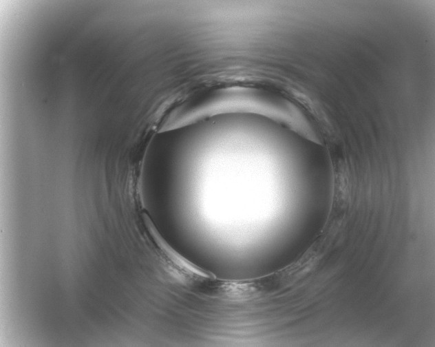 X0000066530333200603201406