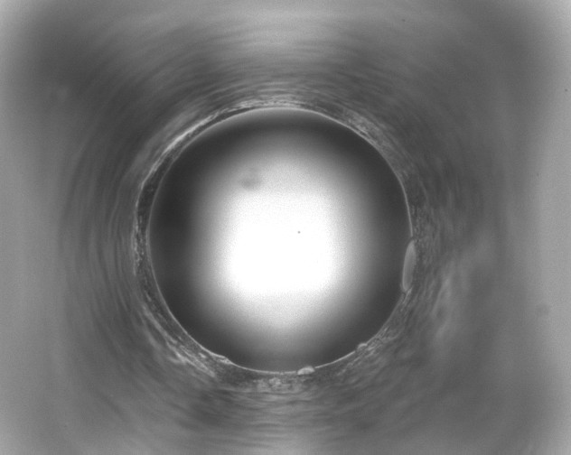 X0000066530338200603201405