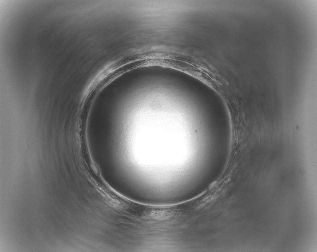 X0000066530341200603201405