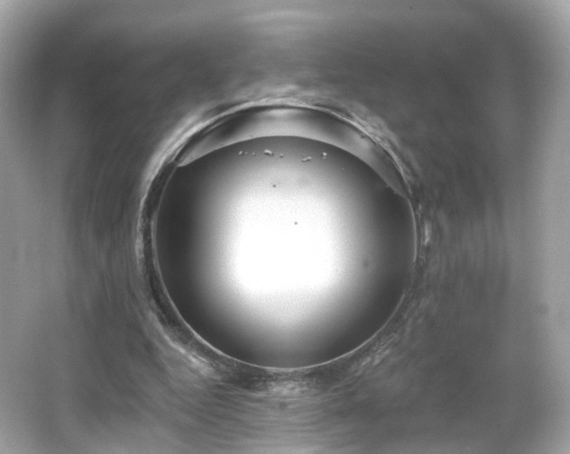 X0000066530344200603201405