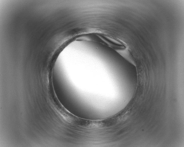 X0000066530350200603201405