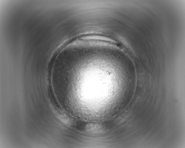 X0000066530354200603201405