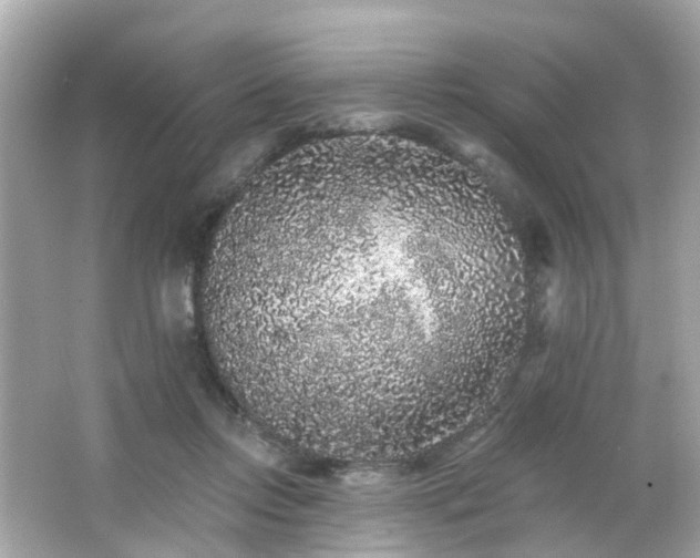 X0000066530358200603201406