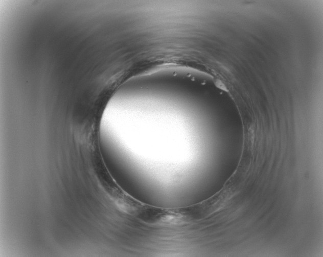 X0000066530364200603201406