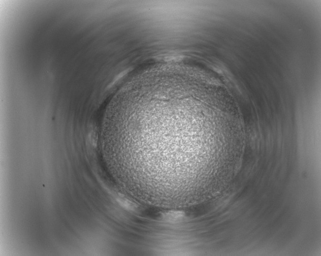 X0000066530374200603201406