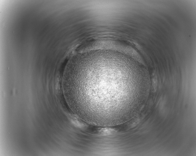 X0000066530379200603201406