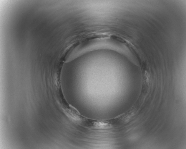 X0000066530380200603201406