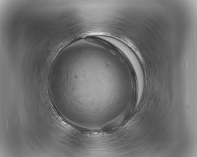 X0000066530385200603201405