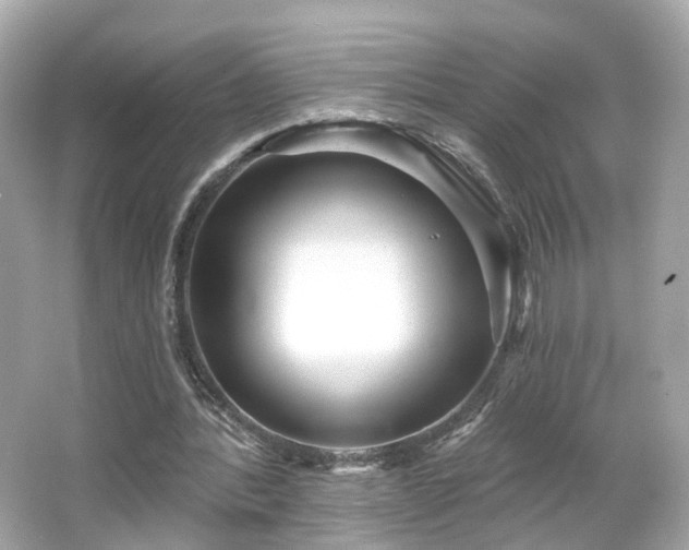 X0000066530388200603201405