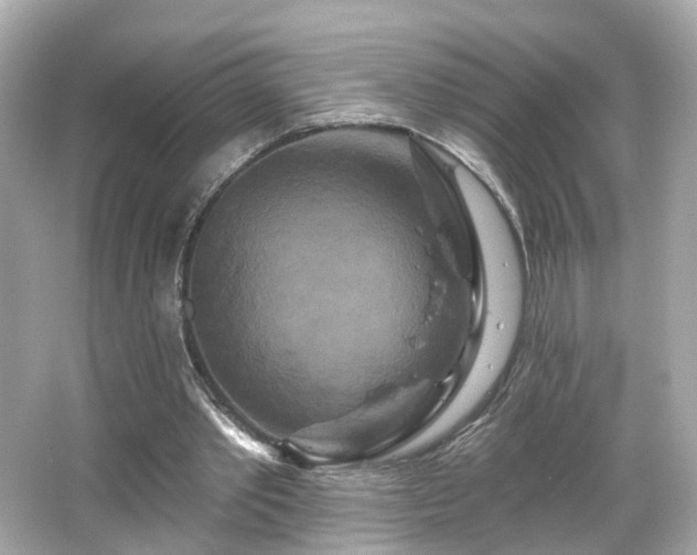 X0000066530389200603201405