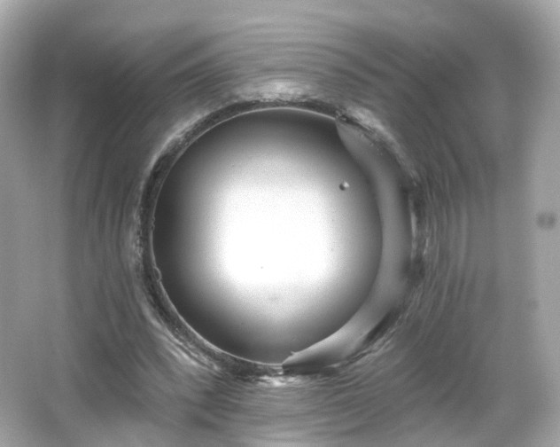 X0000066530392200603201405