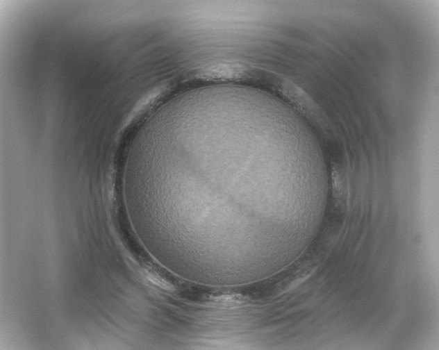 X0000066530396200603201405