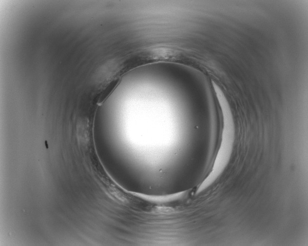 X0000066530413200603201405