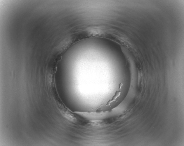 X0000066530417200603201405