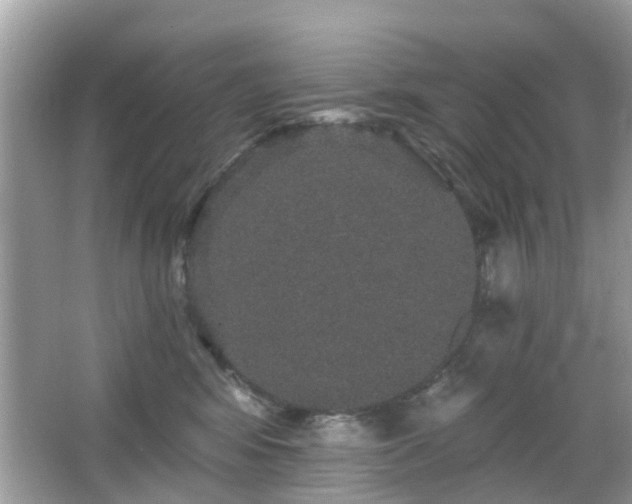 X0000066530424200603201405