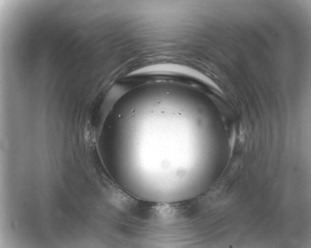 X0000066530425200603201405