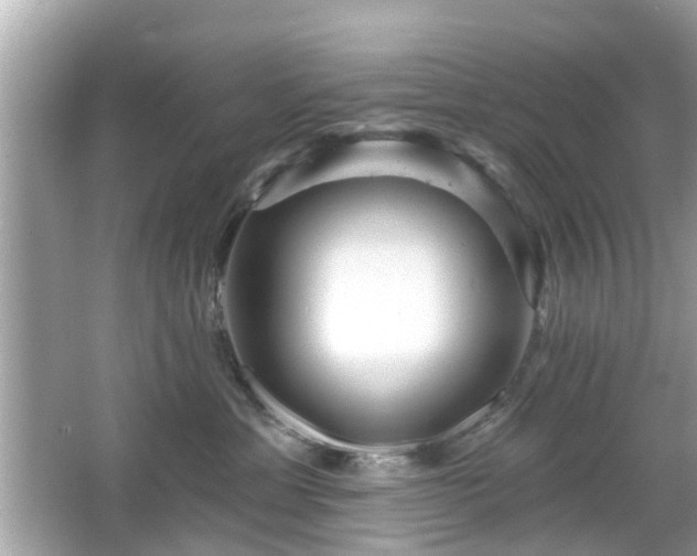 X0000066530429200603201404