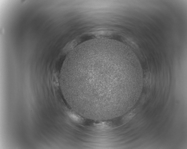 X0000066530430200603201404