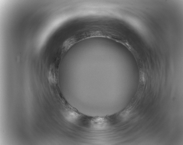 X0000066530431200603201404