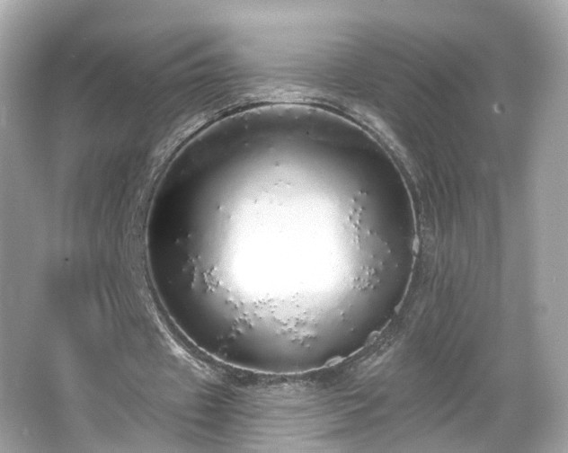 X0000066530433200603201404