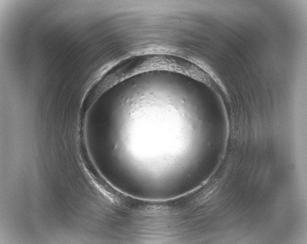 X0000066530437200603201404