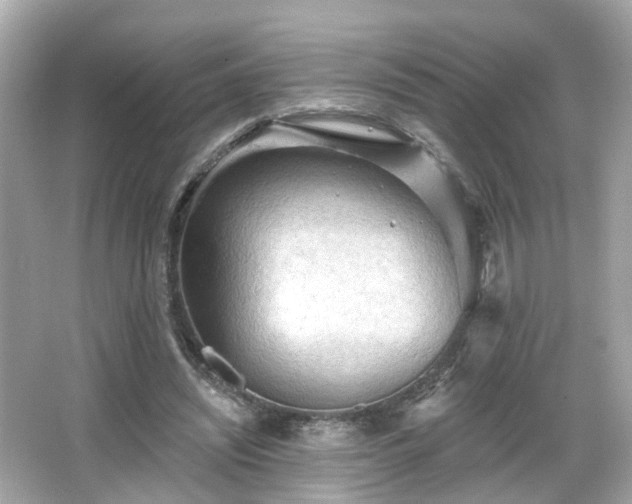 X0000066530444200603201404