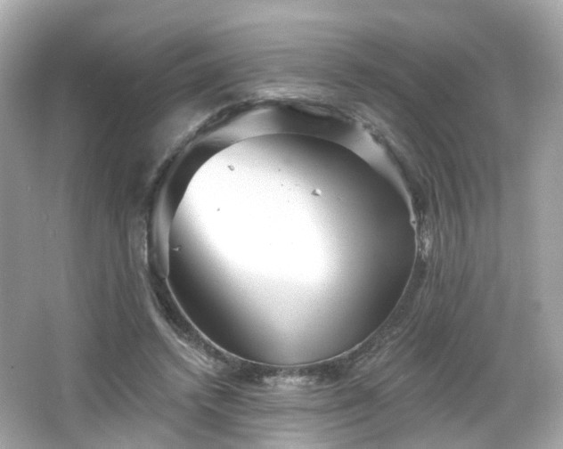 X0000066530448200603201404