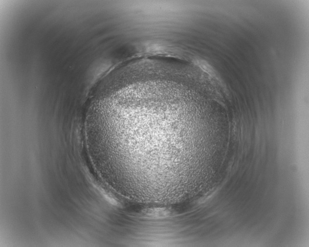 X0000066530449200603201404