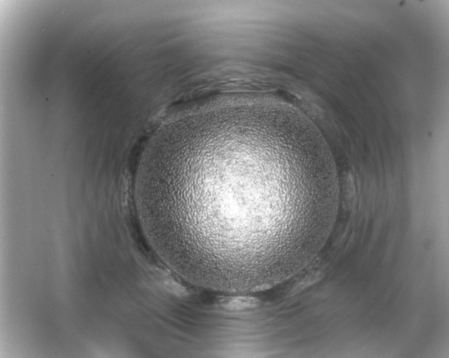 X0000066530463200603201404