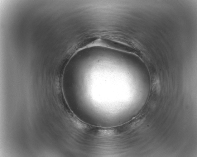X0000066530469200603201404