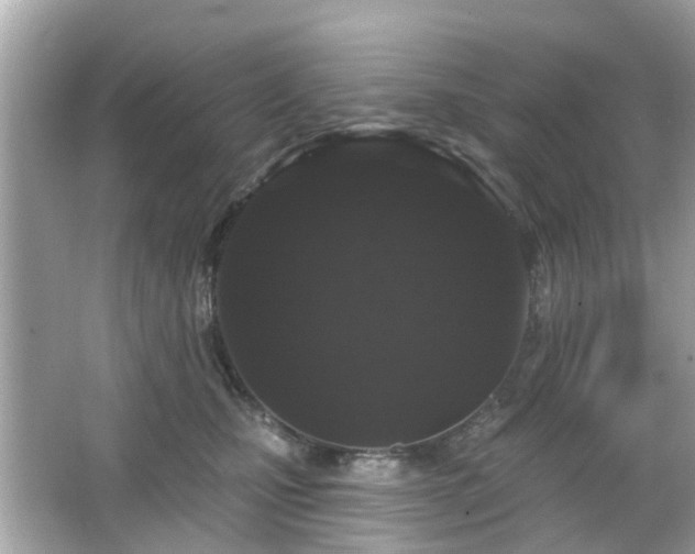 X0000066530471200603201404