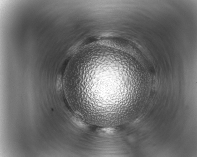 X0000066530478200603201404
