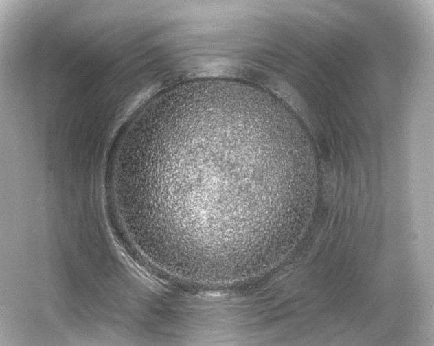 X0000066530482200603201404