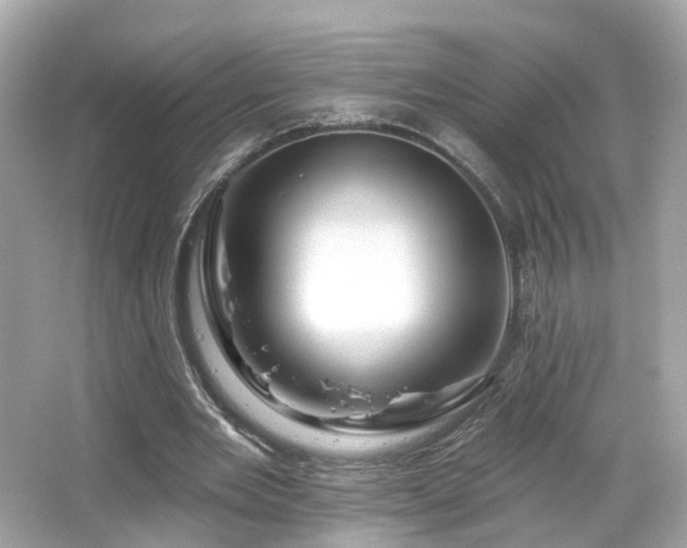 X0000066530485200603201403