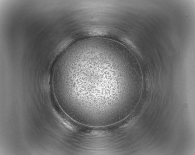 X0000066530490200603201403