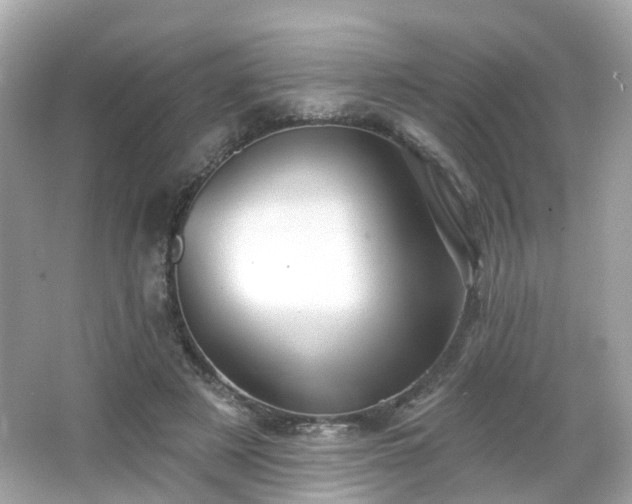X0000066530497200603201403